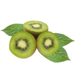 Kiwi Sabrostar